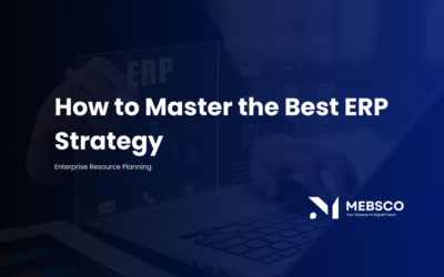 A Supreme Victory: How to Master the Best ERP Strategy