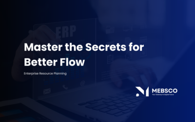 Secure ERP Success: Master the Secrets for Better Flow